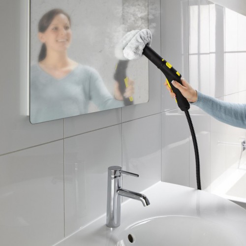 karcher steam cleaner