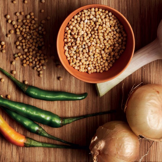 santa maria spices