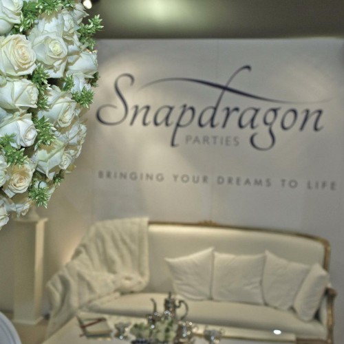 snapdragonparties_1358872996_04