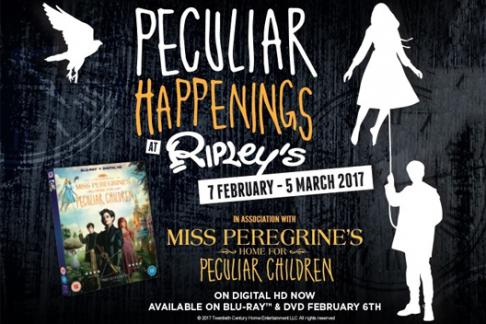 29544-Ripleys-Peculiar-product