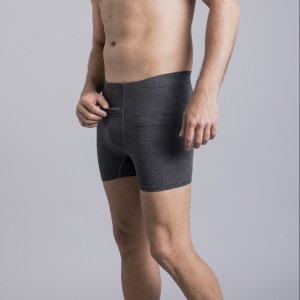Zhu boxers